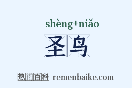 圣鸟是什么意思的图片